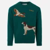 Donegal-Pullover für Jungen mit Rundhalsausschnitt und Jacquard-Aufdruck mit Landhunden