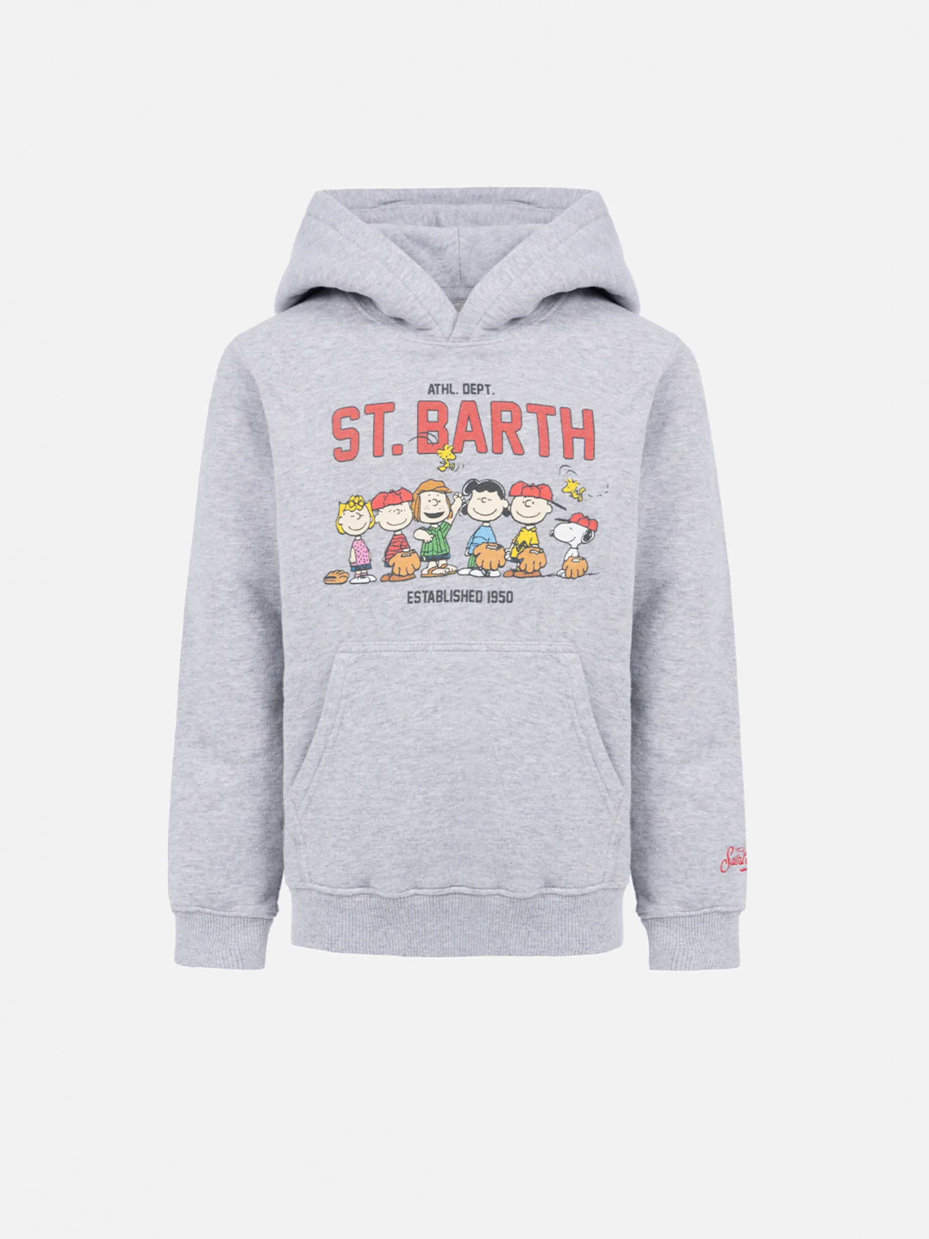 Graues Sweatshirt Oliver für Jungen mit Peanuts-Print | SNOOPY PEANUTS SPECIAL EDITION