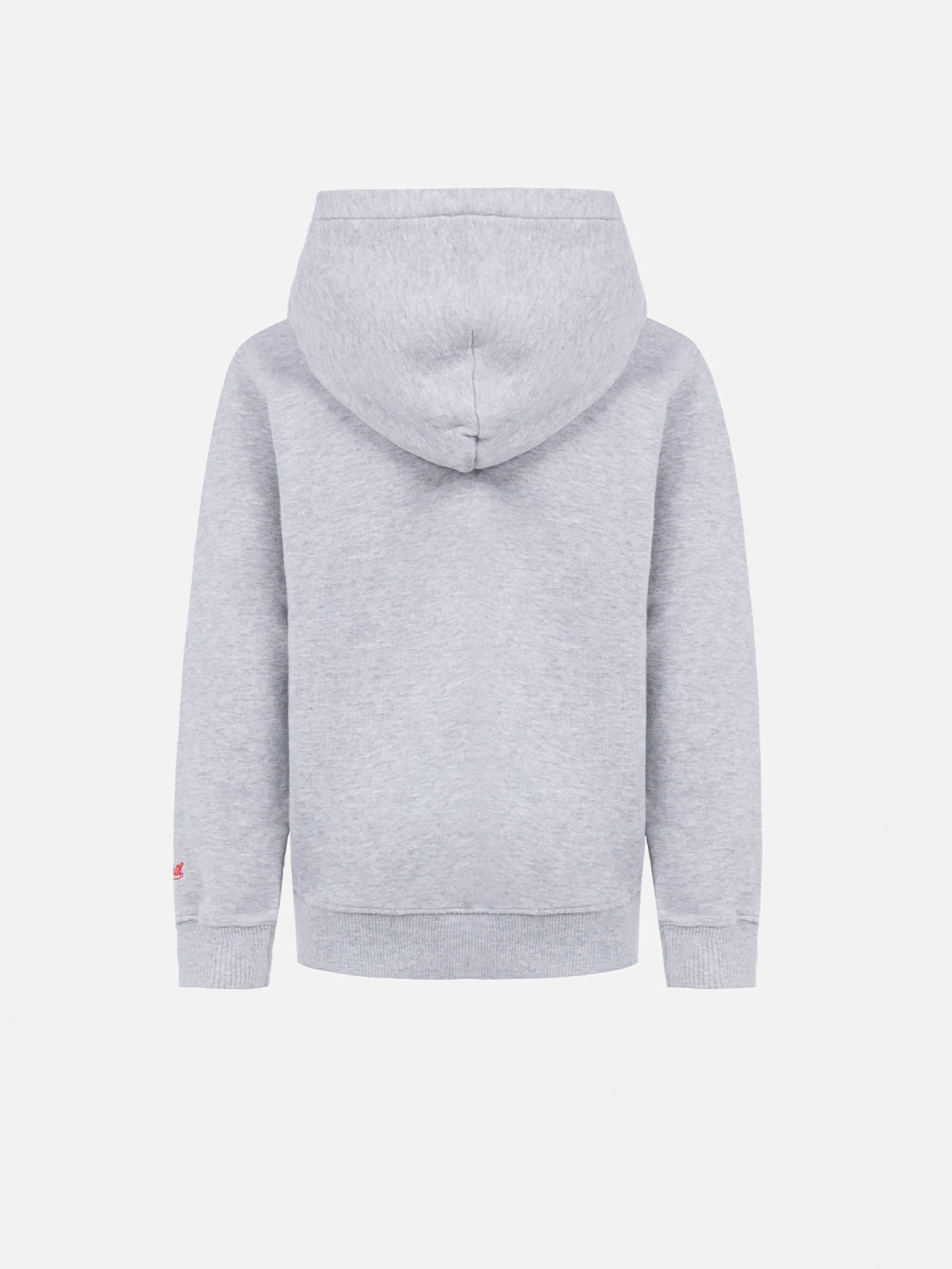 Graues Sweatshirt Oliver für Jungen mit Peanuts-Print | SNOOPY PEANUTS SPECIAL EDITION