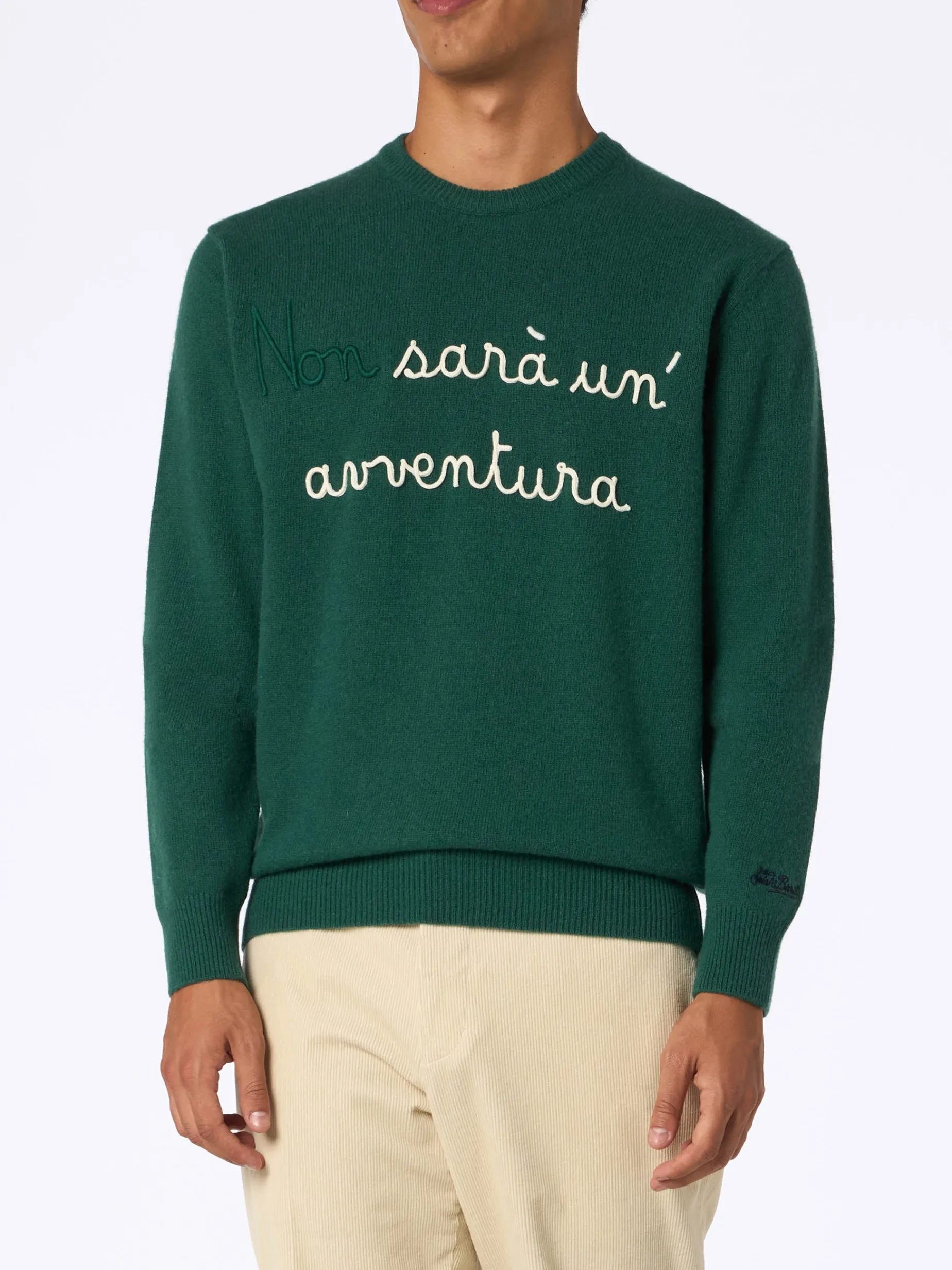 Grüner Herrenpullover Heron mit Stickerei Non sarà un'avventura