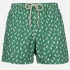 Herren-Badeshorts aus leichtem Stoff Lighting Micro Fantasy mit Känguru-Print | AUSTRALIAN BRAND SPECIAL EDITION