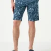 Herren-Bermuda aus Baumwolle mit Palmenprint