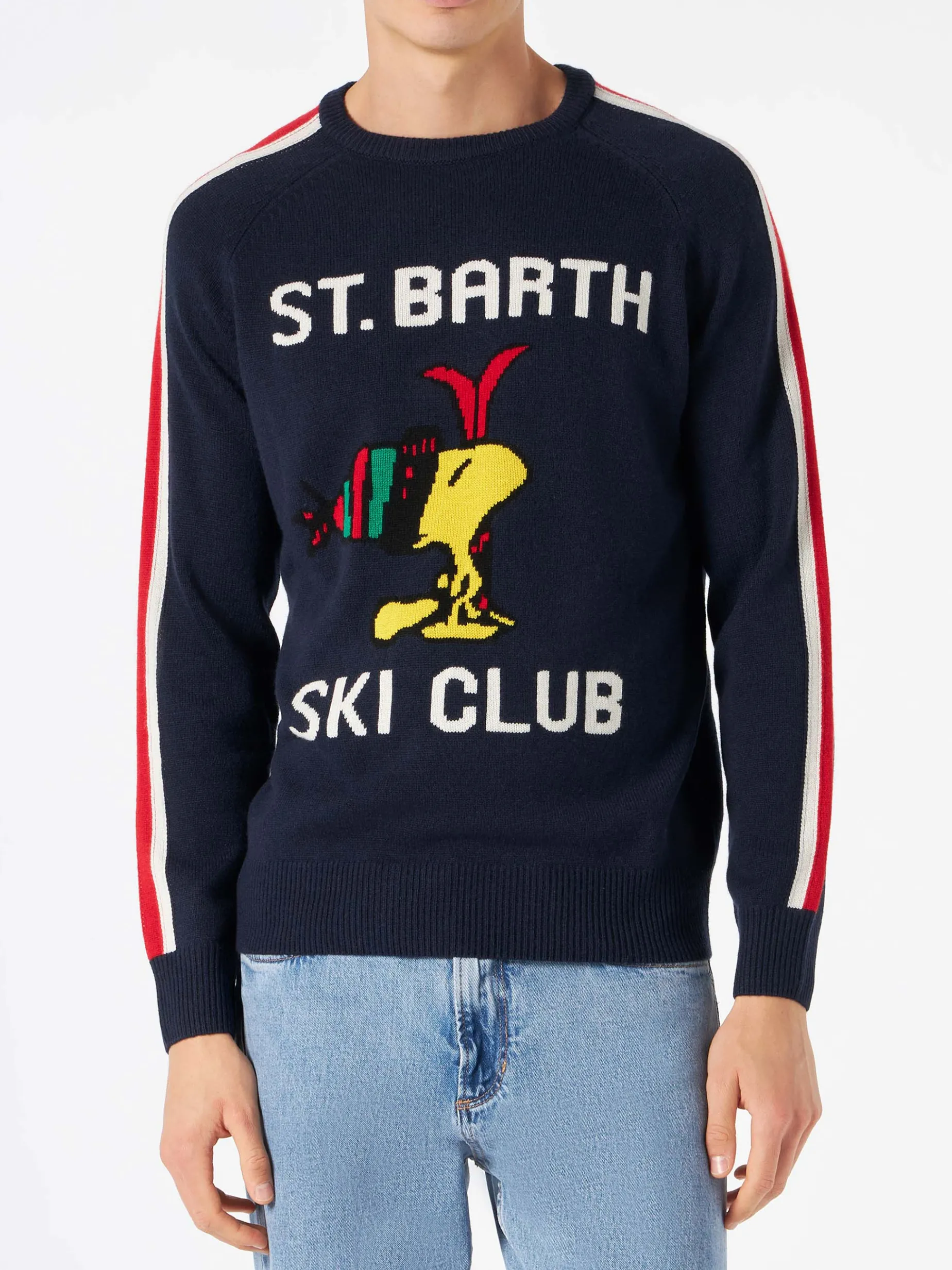 Herrenpullover mit Woodstock-Print | WOODSTOCK – PEANUTS™ SONDEREDITION