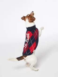 Hundepullover mit Argyle-Print