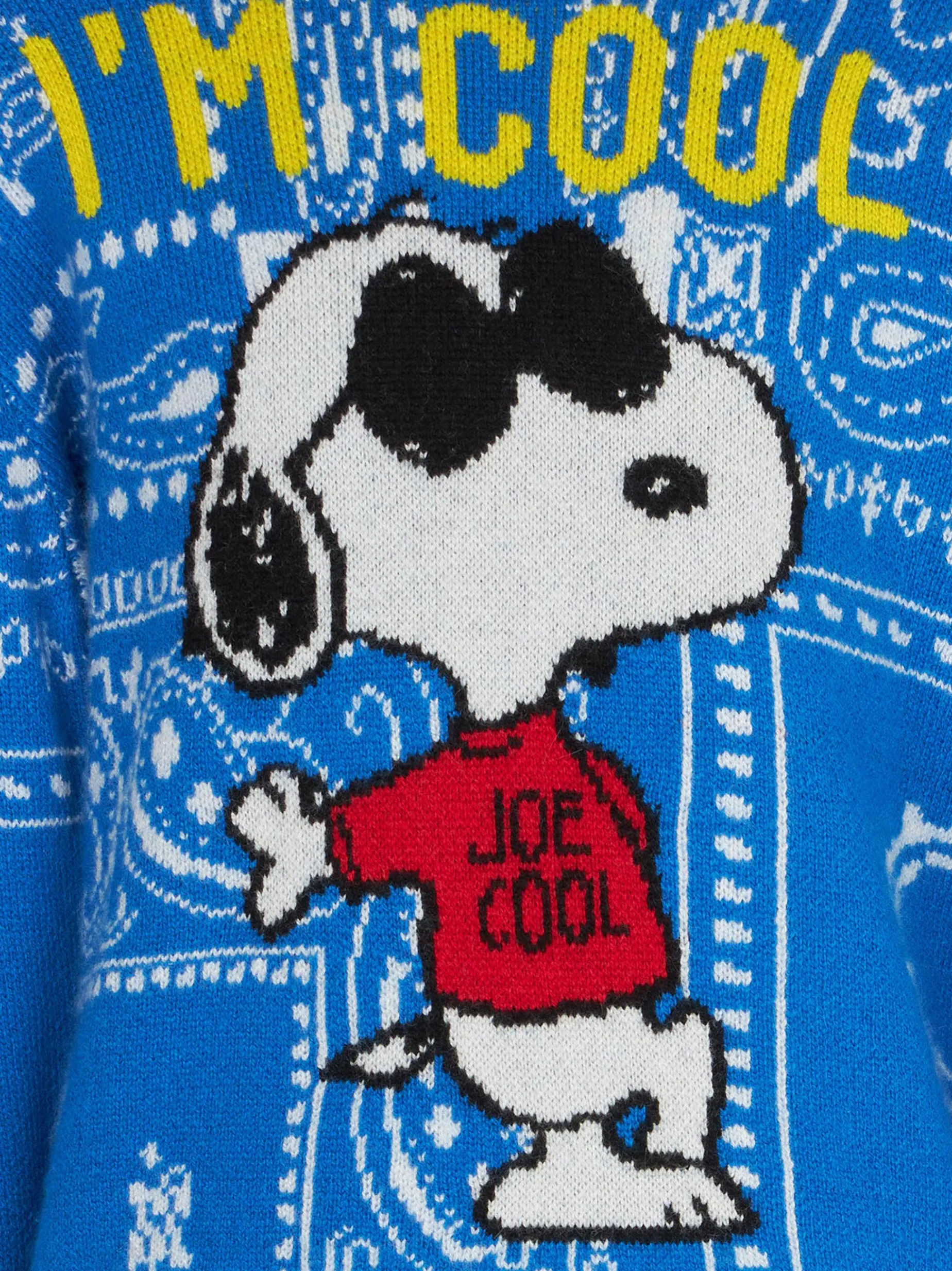 Rundhalspullover für Jungen mit Snoopy-Aufdruck | PEANUTS™ SONDEREDITION