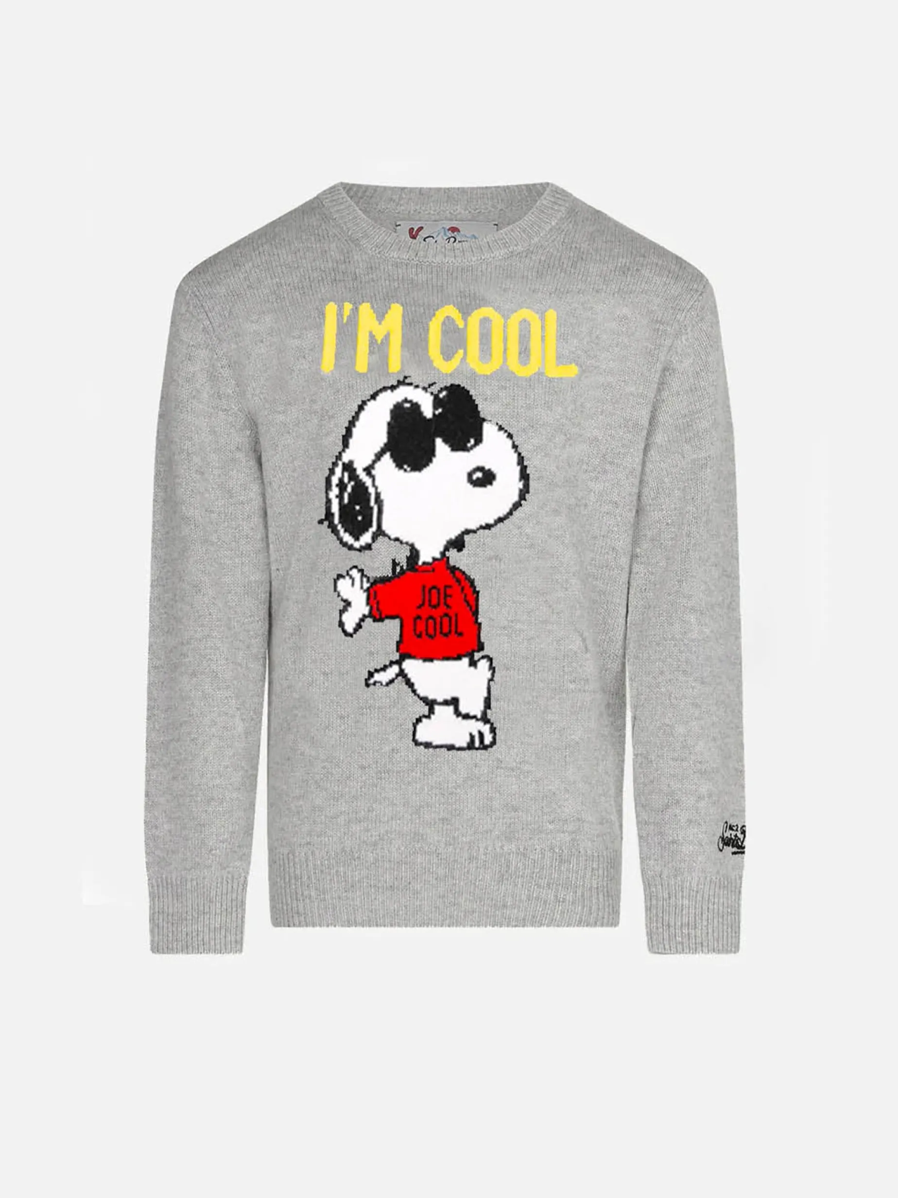 Snoopy Cool Boy grauer Pullover – Sonderausgabe
