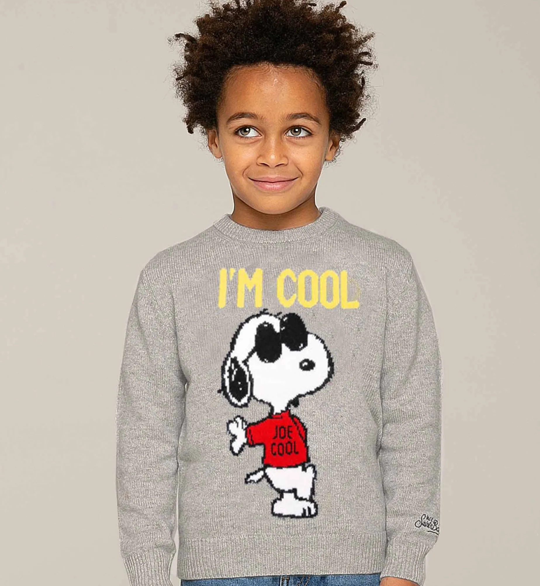 Snoopy Cool Boy grauer Pullover – Sonderausgabe